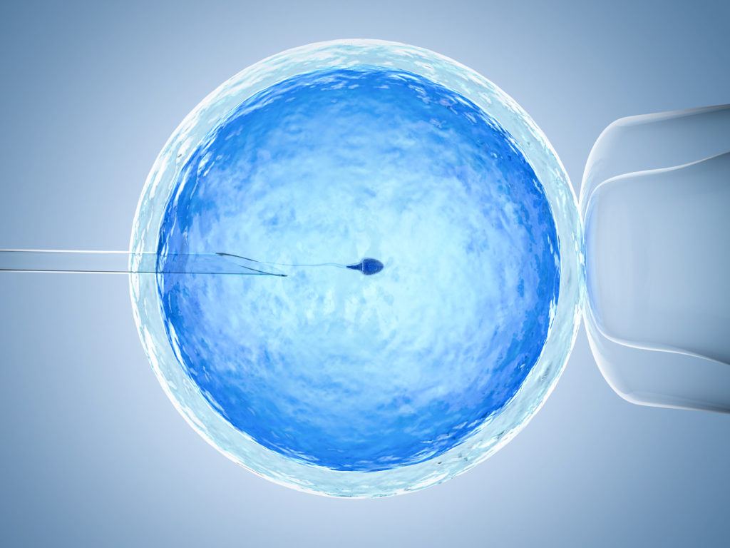 3d rendering ovum with needle for artificial insemination or in vitro fertilization