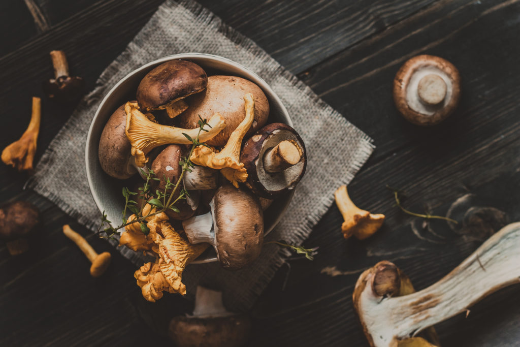 mushrooms are packed with key nutrients for winter survival
