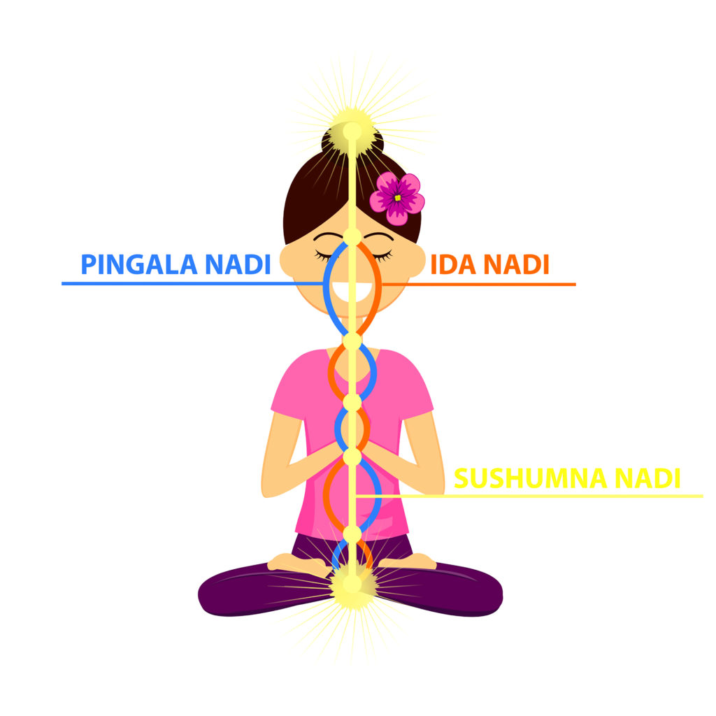Woman sitting practicing nadi shodhana.The three main nadis: ida, pingala, and sushumna. 